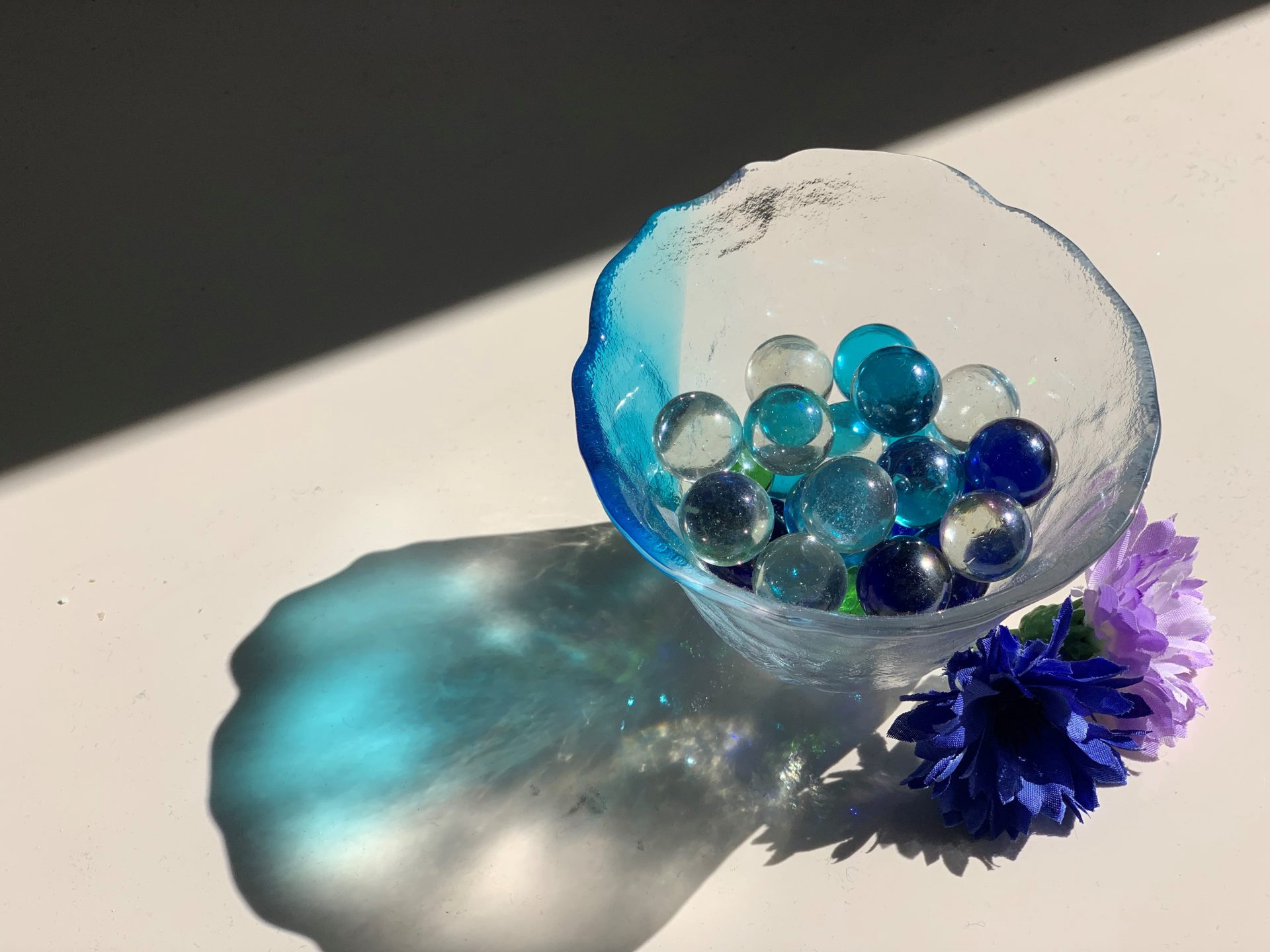 東京私立中学高等学校協会 生徒写真 美術展 入選のお知らせ 拓殖大学第一高等学校 拓大一高